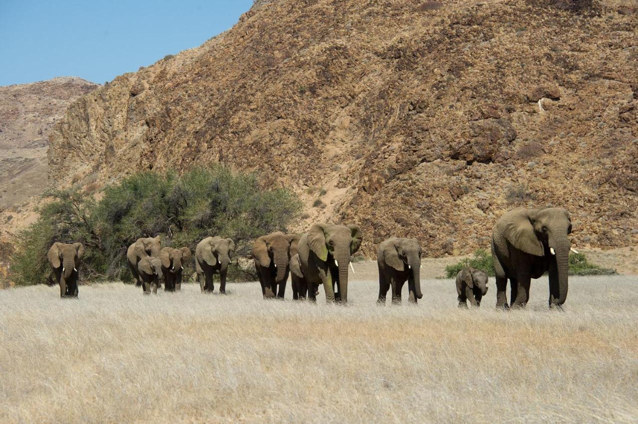 Wilderness Safaris Doro Nawas Villa Twyfelfontein Exterior foto