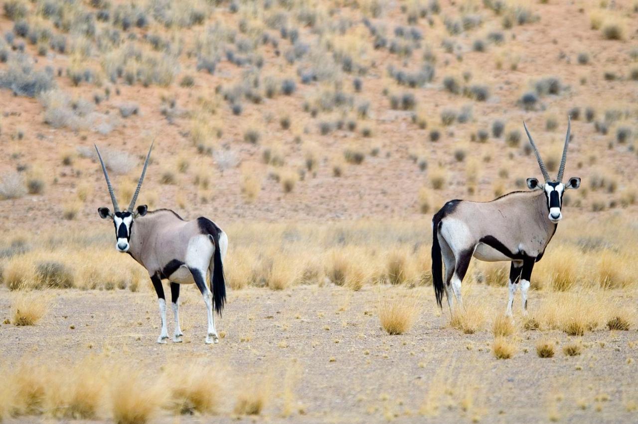 Wilderness Safaris Doro Nawas Villa Twyfelfontein Exterior foto